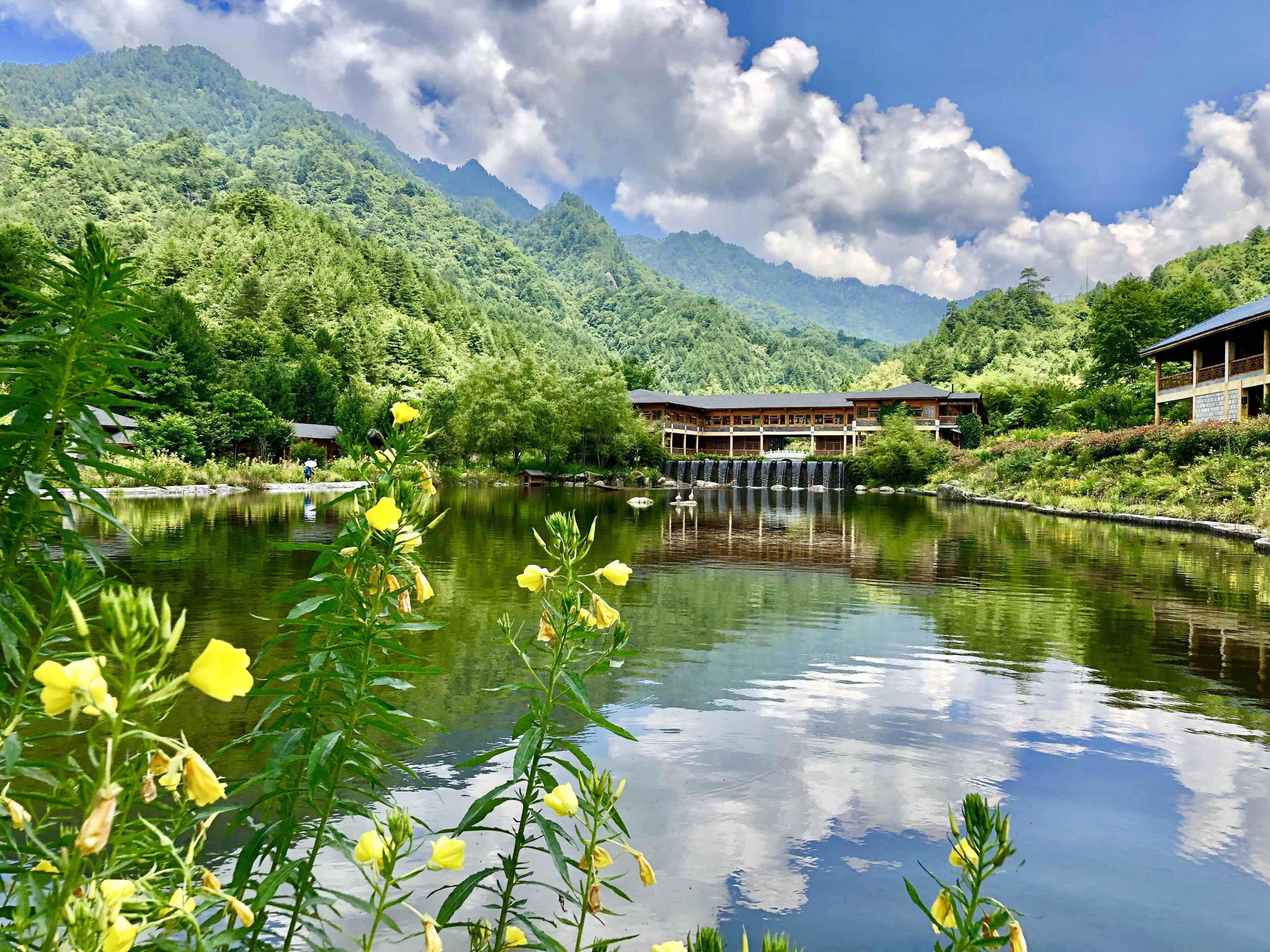 优秀奖安康市宁陕县图书馆冯娟美丽上坝河